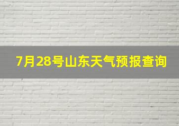 7月28号山东天气预报查询