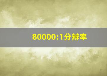 80000:1分辨率