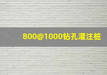 800@1000钻孔灌注桩