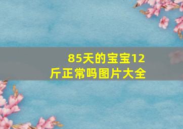 85天的宝宝12斤正常吗图片大全