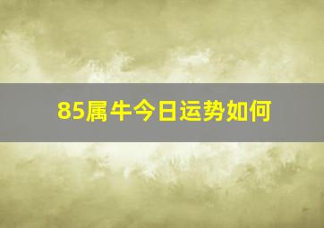 85属牛今日运势如何