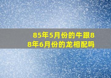 85年5月份的牛跟88年6月份的龙相配吗