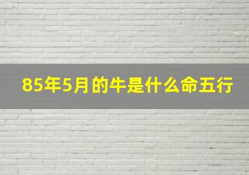 85年5月的牛是什么命五行