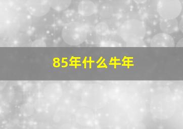 85年什么牛年