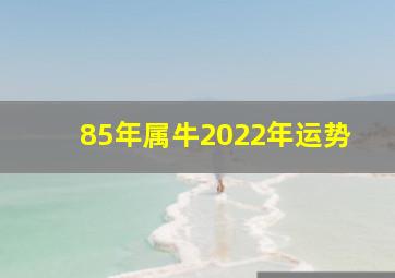 85年属牛2022年运势