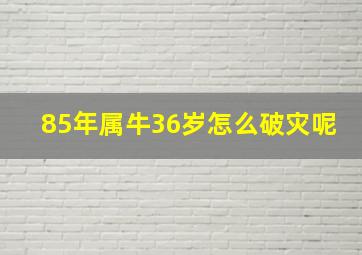 85年属牛36岁怎么破灾呢