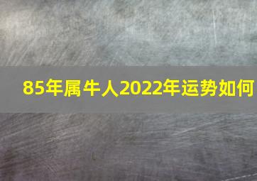 85年属牛人2022年运势如何