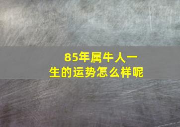 85年属牛人一生的运势怎么样呢