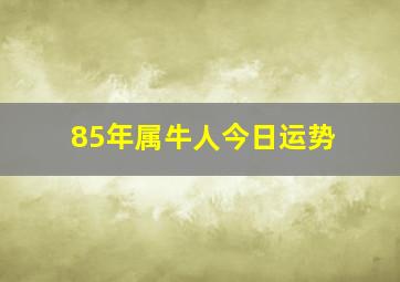 85年属牛人今日运势