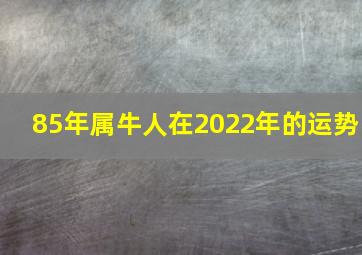 85年属牛人在2022年的运势