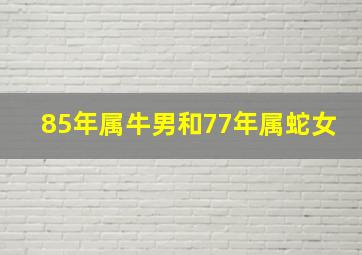 85年属牛男和77年属蛇女