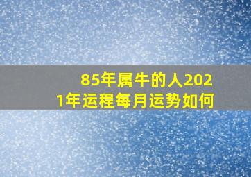 85年属牛的人2021年运程每月运势如何