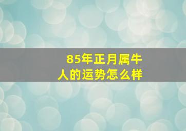 85年正月属牛人的运势怎么样