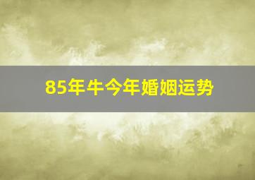 85年牛今年婚姻运势