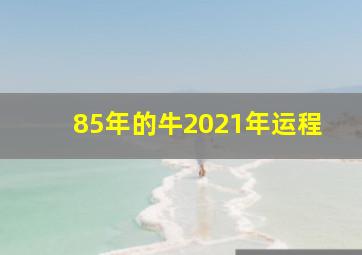 85年的牛2021年运程