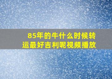 85年的牛什么时候转运最好吉利呢视频播放