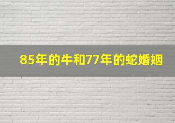 85年的牛和77年的蛇婚姻