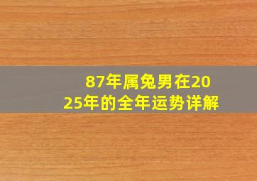 87年属兔男在2025年的全年运势详解