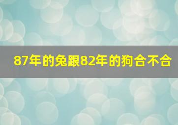 87年的兔跟82年的狗合不合