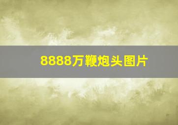 8888万鞭炮头图片