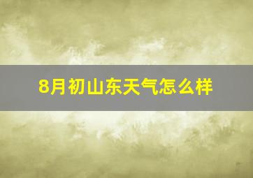 8月初山东天气怎么样