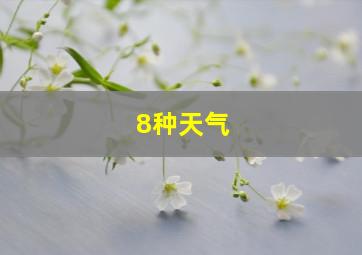 8种天气