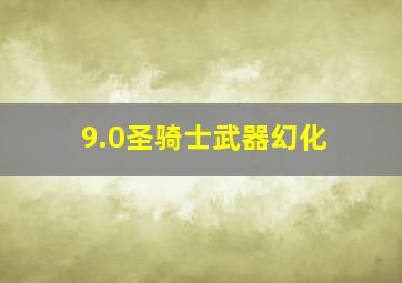 9.0圣骑士武器幻化