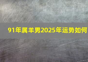 91年属羊男2025年运势如何