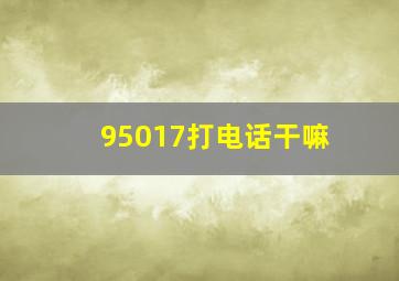 95017打电话干嘛