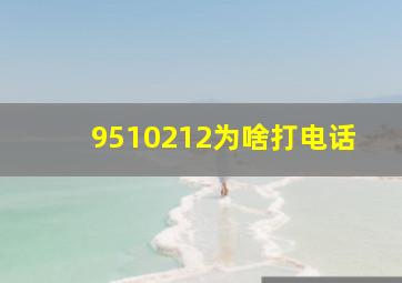 9510212为啥打电话