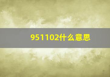 951102什么意思