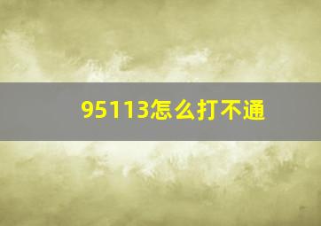 95113怎么打不通