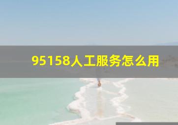 95158人工服务怎么用