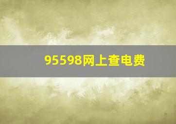 95598网上查电费