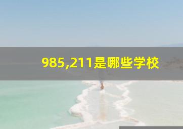 985,211是哪些学校