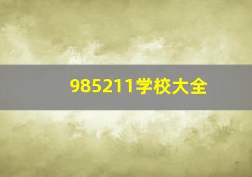 985211学校大全