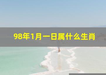 98年1月一日属什么生肖