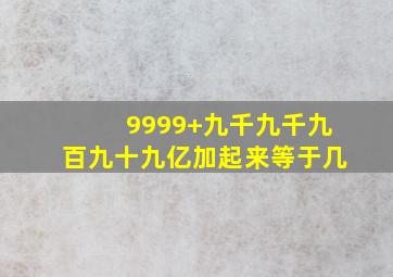 9999+九千九千九百九十九亿加起来等于几