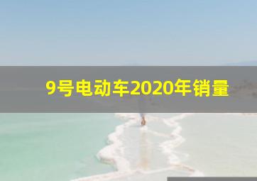 9号电动车2020年销量