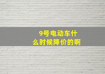 9号电动车什么时候降价的啊