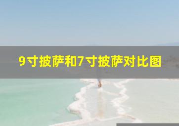 9寸披萨和7寸披萨对比图