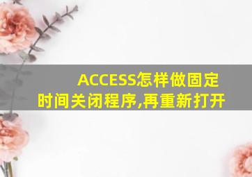 ACCESS怎样做固定时间关闭程序,再重新打开