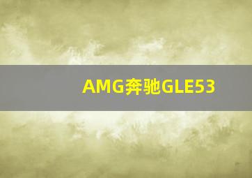 AMG奔驰GLE53