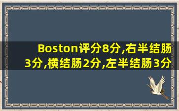 Boston评分8分,右半结肠3分,横结肠2分,左半结肠3分