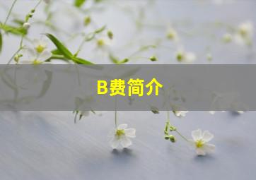 B费简介