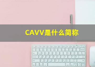 CAVV是什么简称