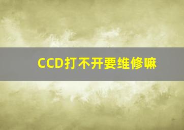 CCD打不开要维修嘛