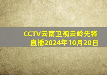 CCTV云南卫视云岭先锋直播2024年10月20日