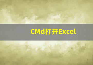 CMd打开Excel