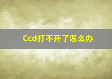 Ccd打不开了怎么办